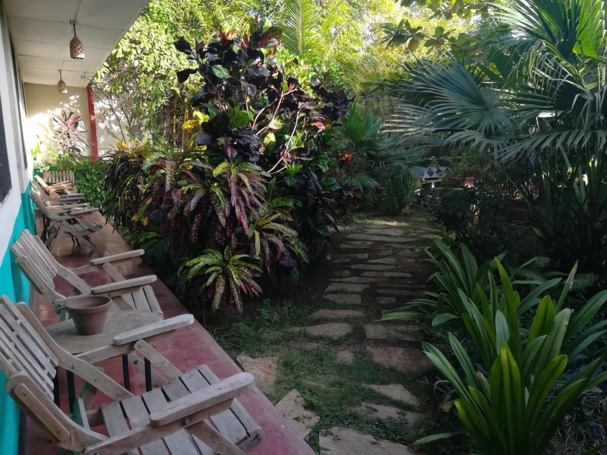 Hostal Harvest House León Εξωτερικό φωτογραφία