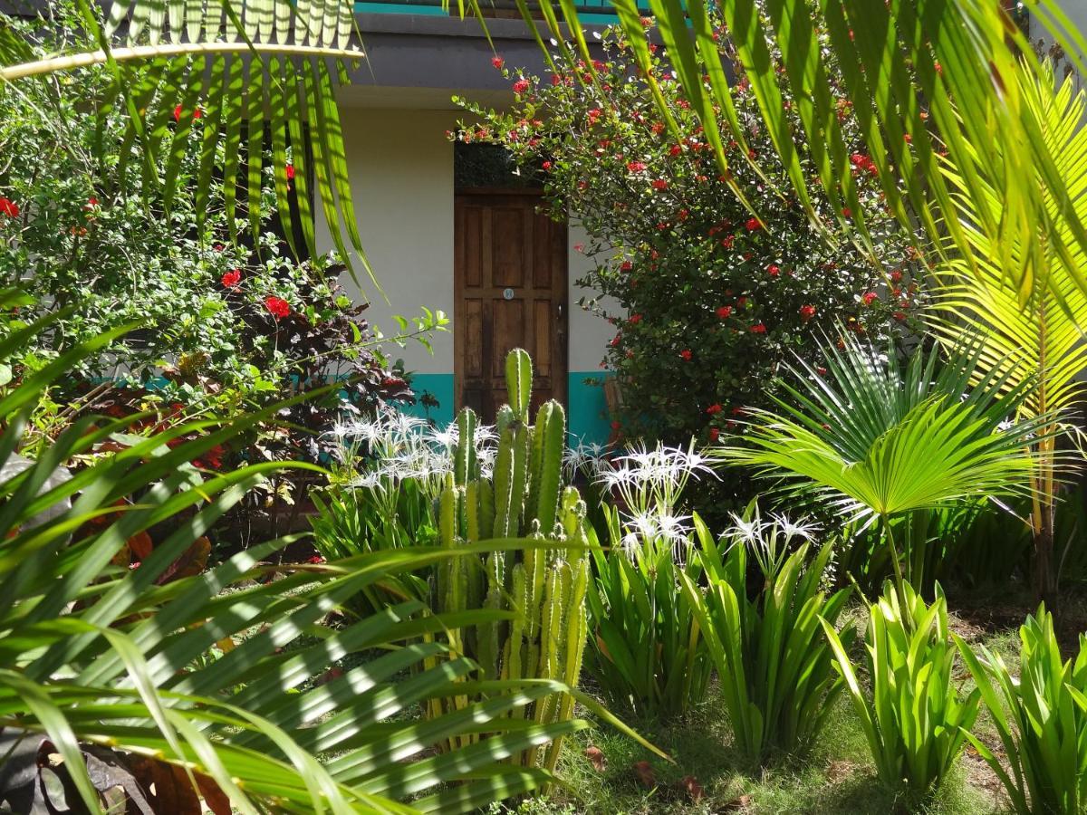 Hostal Harvest House León Εξωτερικό φωτογραφία
